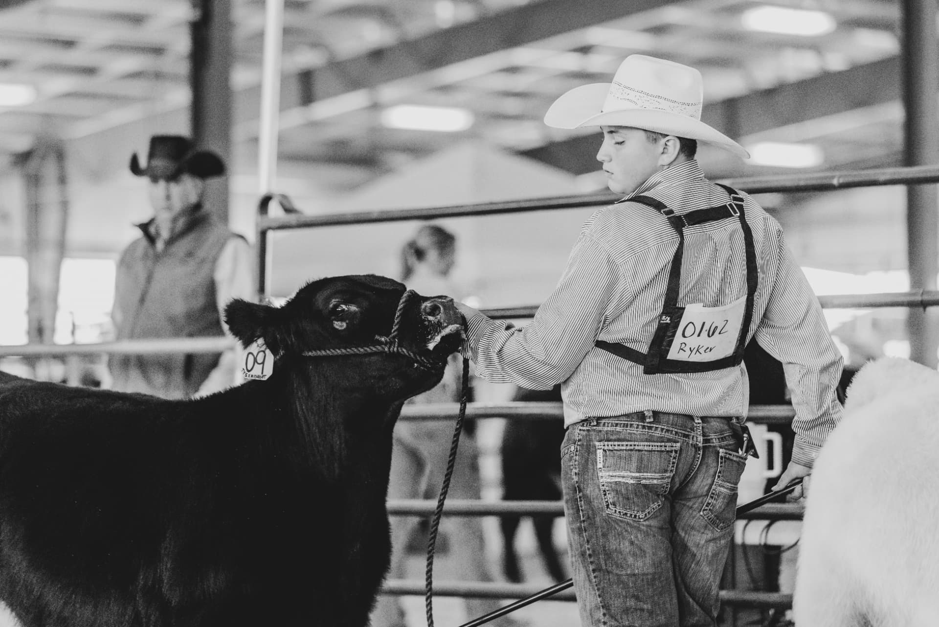 Black-and-white photo of a showman with his black steer at the rail