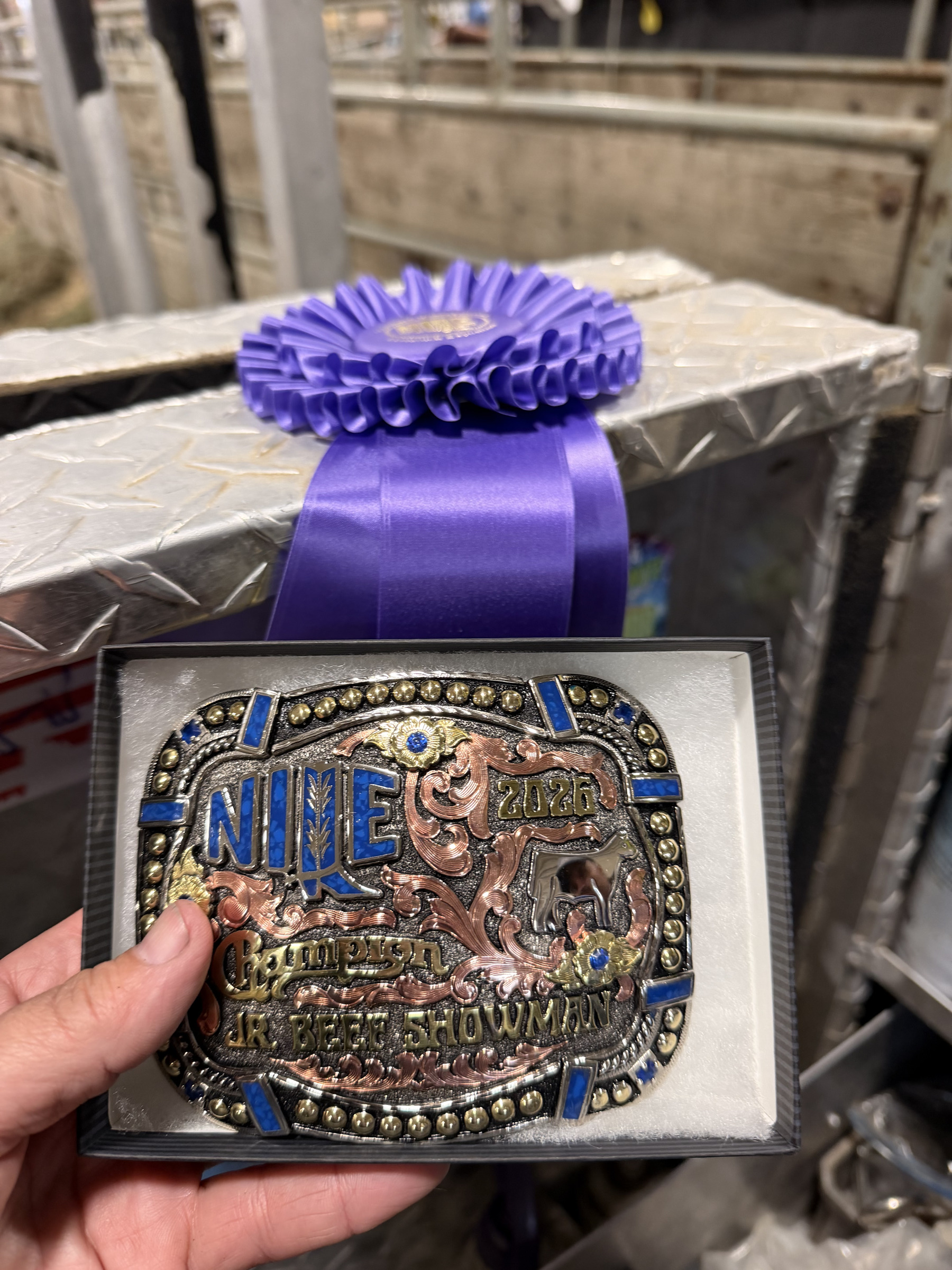 Champion Junior Beef Showman belt buckle from the 2025 Nile show