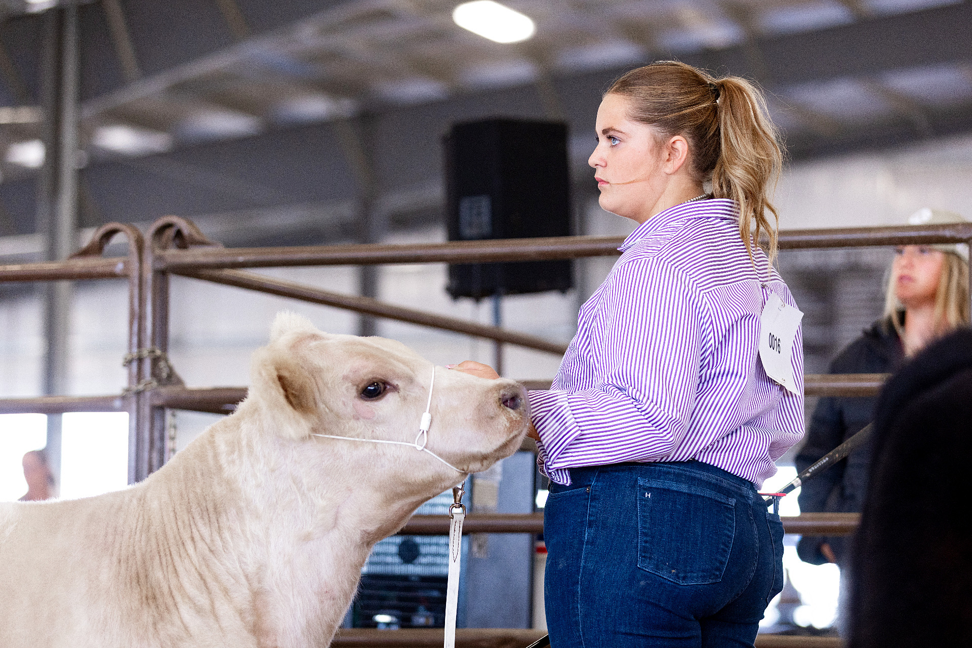 Club calf prospect at RK Livestock (3)