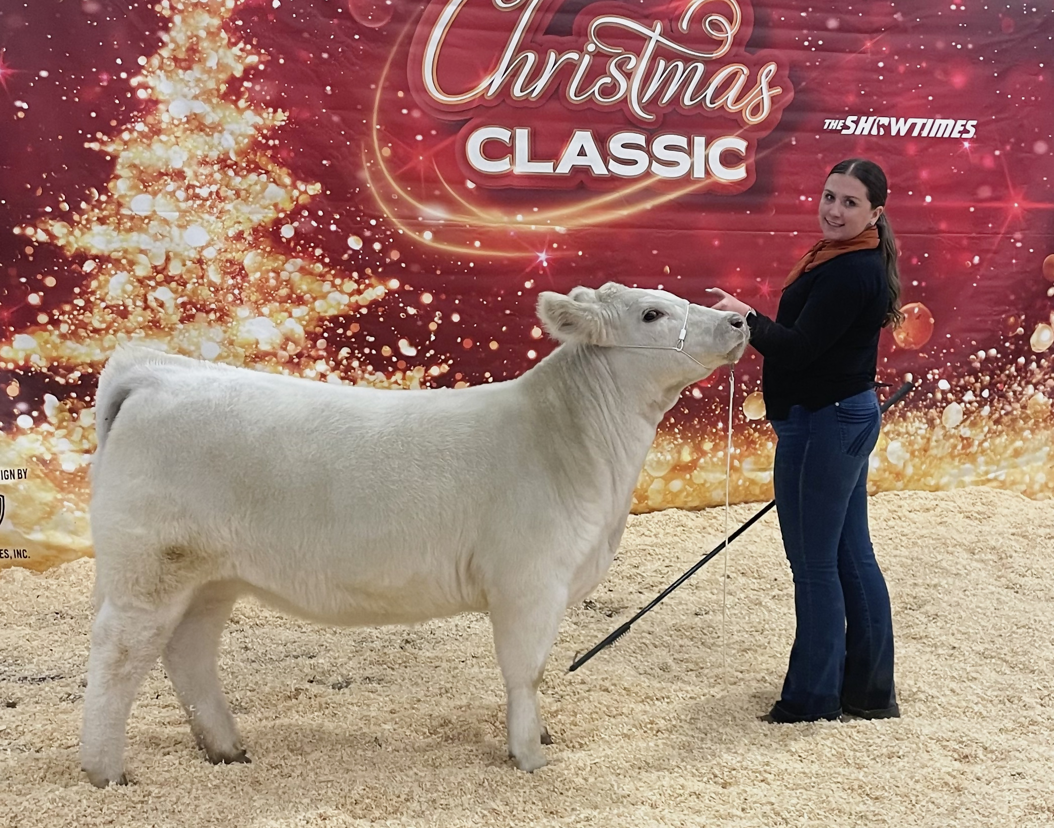 Kadence smiling beside her white show heifer in front of the Christmas Classic backdrop