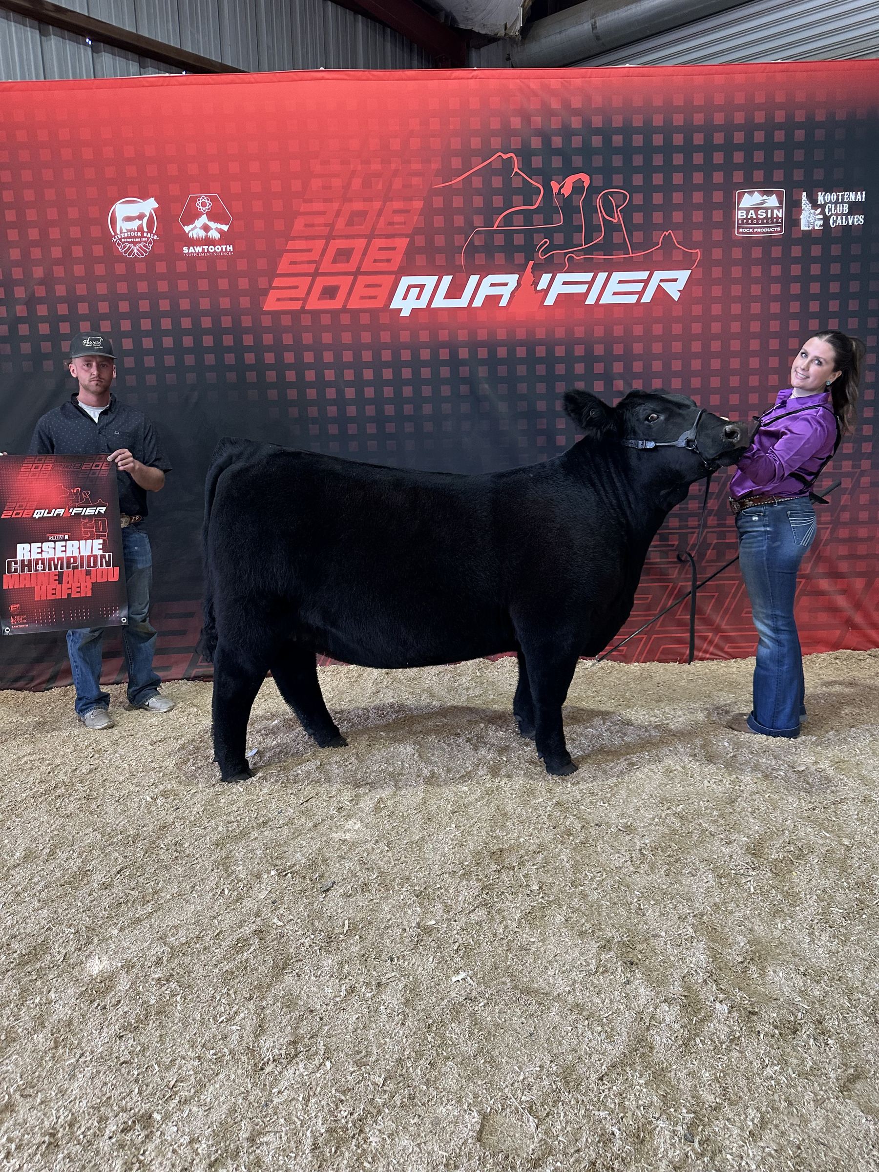 Black Maine-Anjou heifer with her Reserve Champion Maine-Anjou Heifer banner at the 208 Qualifier