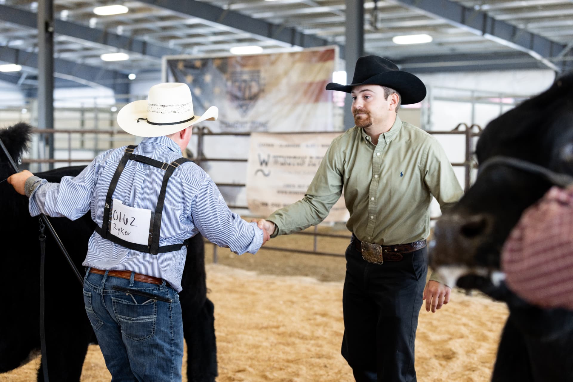 A junior showman in the ring shaking hands with the judge