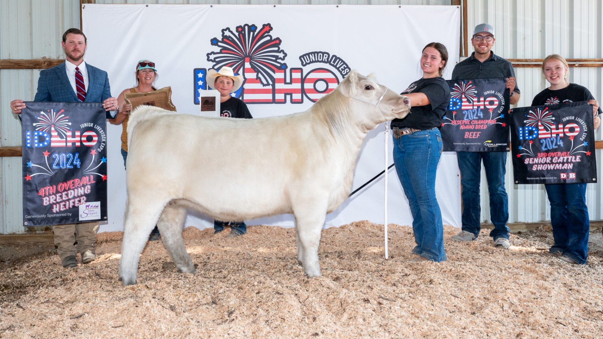 White heifer with award banners at the Idaho Junior Livestock Expo